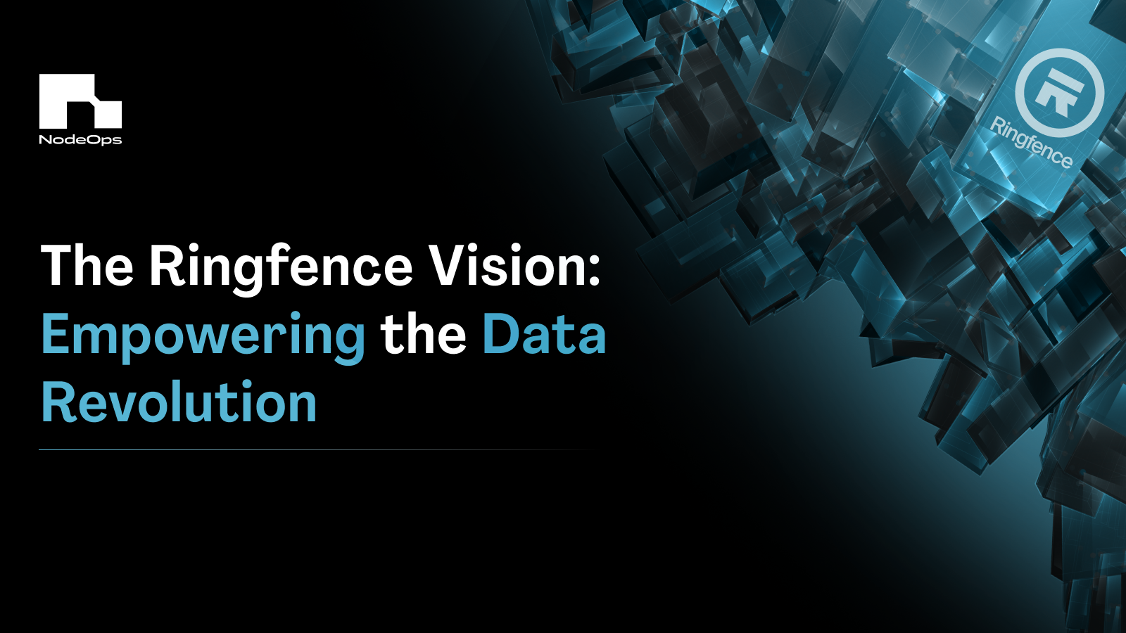 The Ringfence Vision: Empowering the Data Revolution